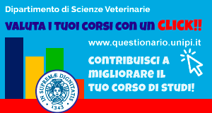 Valuta il tuo corso Università di Pisa