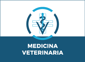 Medicina Veterinaria Pisa