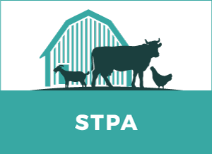 stpa