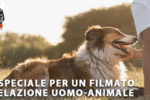 Concorso per filmato sulla relazione uomo-animale