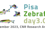 Zebrafish Day