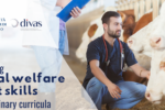 Integrating Animal Welfare and Soft Skills in the Veterinary Curricula