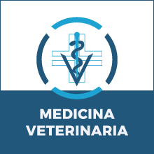 Corso di Laurea in Medicina Veterinaria,  Università di Pisa